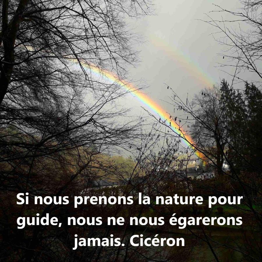 Golden Lion Bed & Breakfast Bouillon Bagian luar foto
