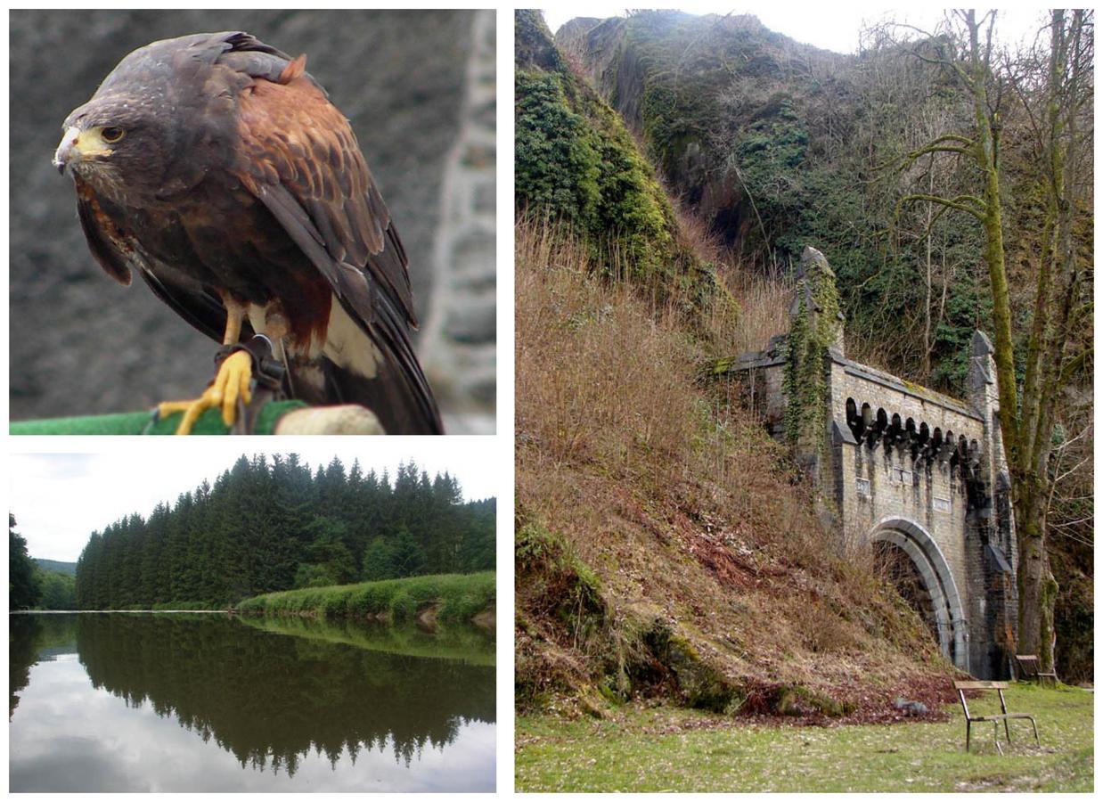 Golden Lion Bed & Breakfast Bouillon Bagian luar foto