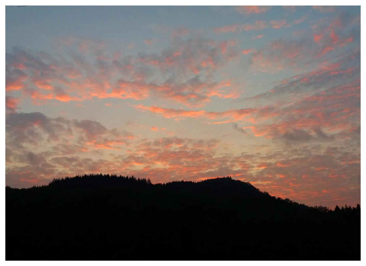 Golden Lion Bed & Breakfast Bouillon Bagian luar foto