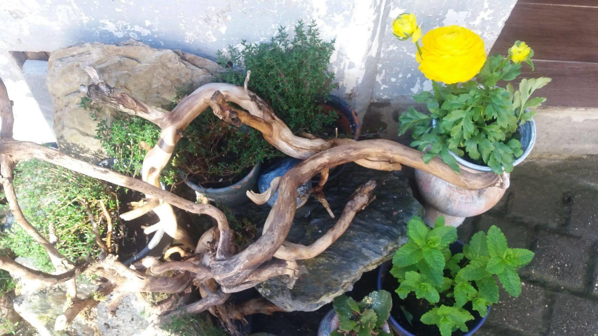 Golden Lion Bed & Breakfast Bouillon Bagian luar foto